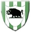 Bromsgrove Boars