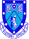 rugby badge